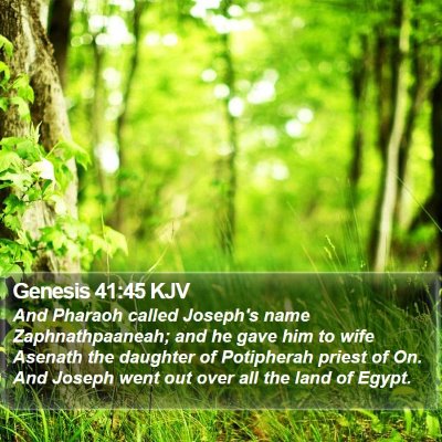 Genesis 41:45 KJV Bible Verse Image