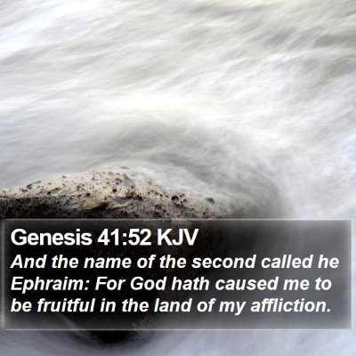 Genesis 41:52 KJV Bible Verse Image