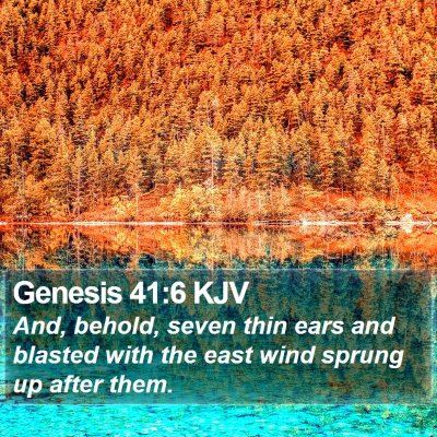 Genesis 41:6 KJV Bible Verse Image