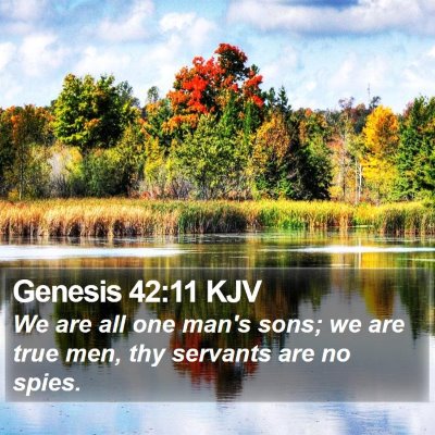 Genesis 42:11 KJV Bible Verse Image