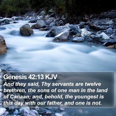 Genesis 42:13 KJV Bible Verse Image