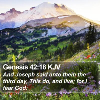 Genesis 42:18 KJV Bible Verse Image