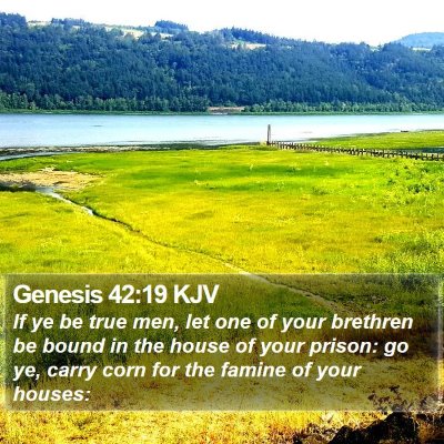 Genesis 42:19 KJV Bible Verse Image
