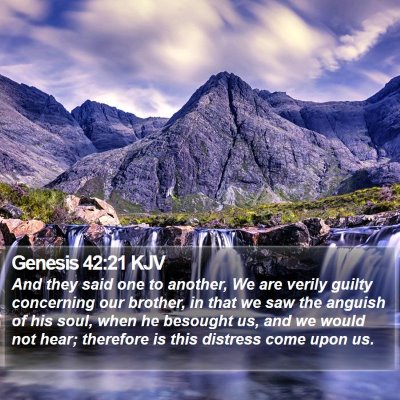 Genesis 42:21 KJV Bible Verse Image
