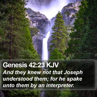 Genesis 42:23 KJV Bible Verse Image