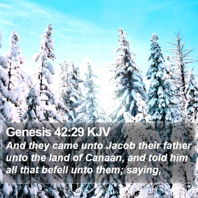 Genesis 42:29 KJV Bible Verse Image