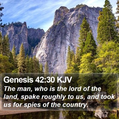 Genesis 42:30 KJV Bible Verse Image