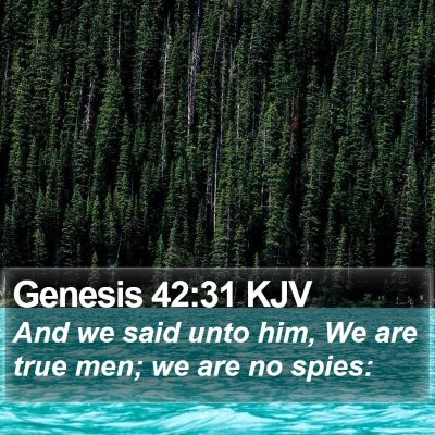 Genesis 42:31 KJV Bible Verse Image