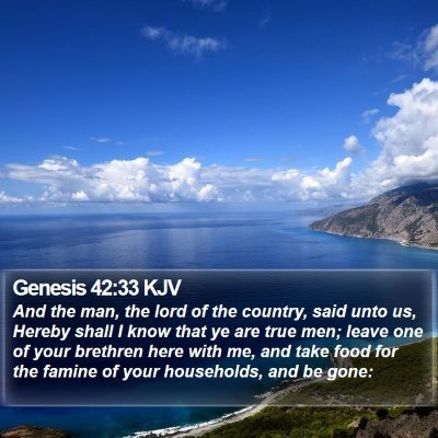 Genesis 42:33 KJV Bible Verse Image