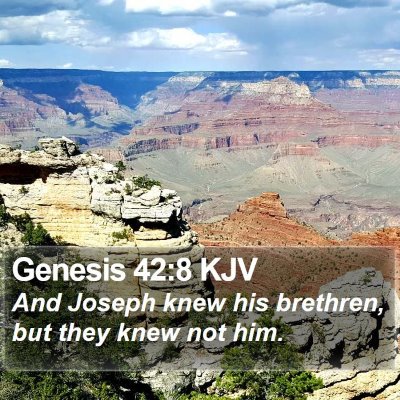 Genesis 42:8 KJV Bible Verse Image