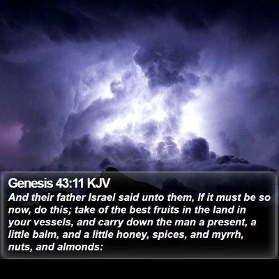 Genesis 43:11 KJV Bible Verse Image