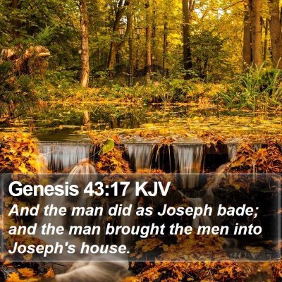 Genesis 43:17 KJV Bible Verse Image