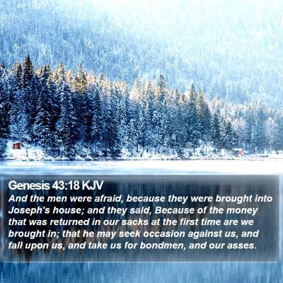 Genesis 43:18 KJV Bible Verse Image