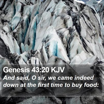 Genesis 43:20 KJV Bible Verse Image