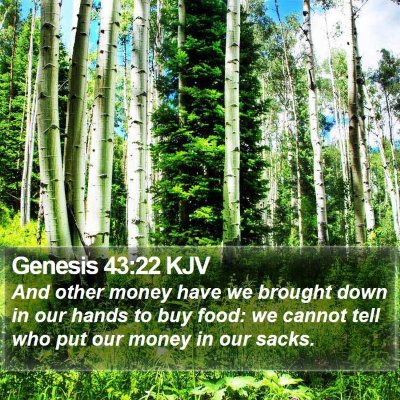 Genesis 43:22 KJV Bible Verse Image