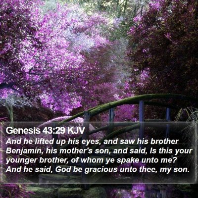 Genesis 43:29 KJV Bible Verse Image
