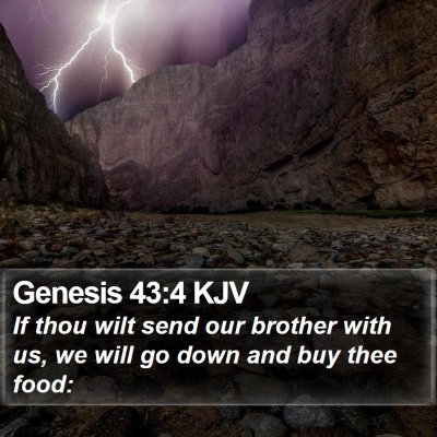 Genesis 43:4 KJV Bible Verse Image