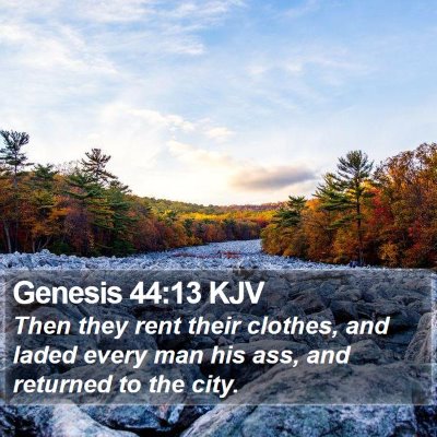 Genesis 44:13 KJV Bible Verse Image