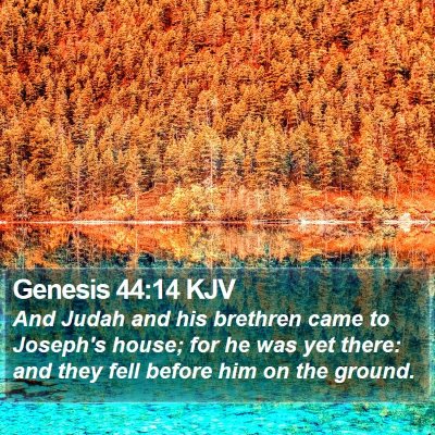 Genesis 44:14 KJV Bible Verse Image
