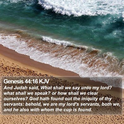Genesis 44:16 KJV Bible Verse Image