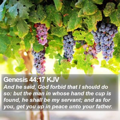 Genesis 44:17 KJV Bible Verse Image