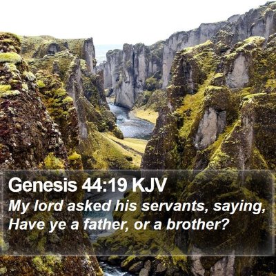 Genesis 44:19 KJV Bible Verse Image