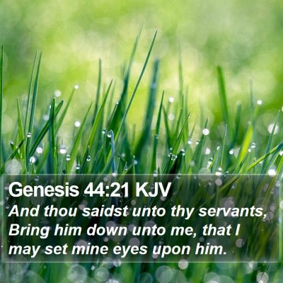 Genesis 44:21 KJV Bible Verse Image