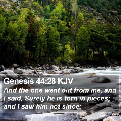 Genesis 44:28 KJV Bible Verse Image