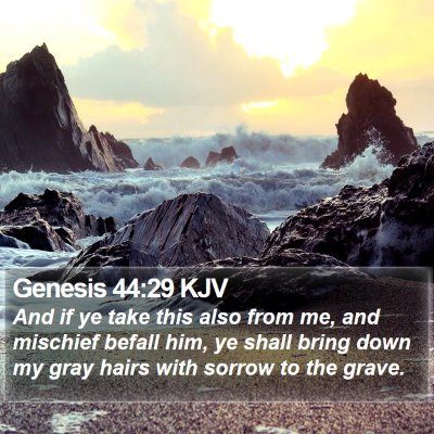 Genesis 44:29 KJV Bible Verse Image