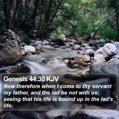 Genesis 44:30 KJV Bible Verse Image