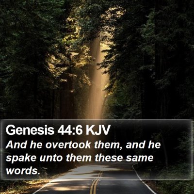 Genesis 44:6 KJV Bible Verse Image