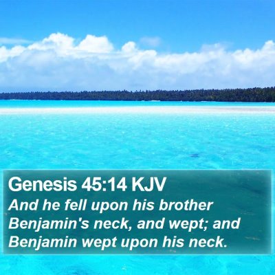 Genesis 45:14 KJV Bible Verse Image