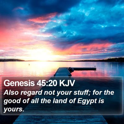 Genesis 45:20 KJV Bible Verse Image