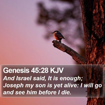 Genesis 45:28 KJV Bible Verse Image