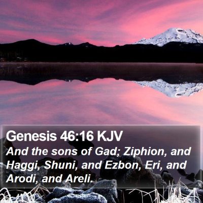 Genesis 46:16 KJV Bible Verse Image