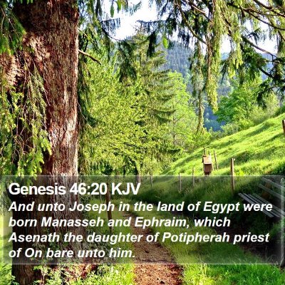 Genesis 46:20 KJV Bible Verse Image