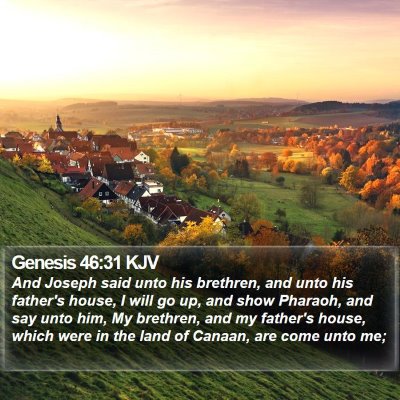 Genesis 46:31 KJV Bible Verse Image