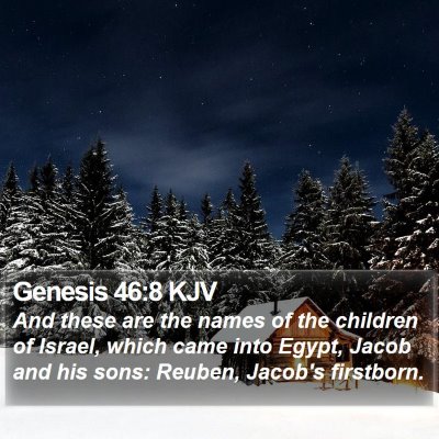 Genesis 46:8 KJV Bible Verse Image