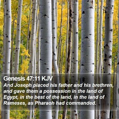 Genesis 47:11 KJV Bible Verse Image
