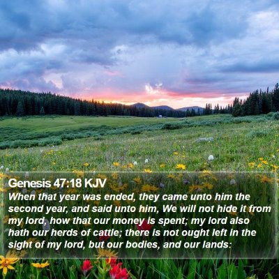 Genesis 47:18 KJV Bible Verse Image