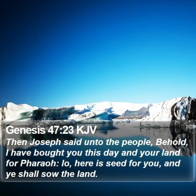 Genesis 47:23 KJV Bible Verse Image