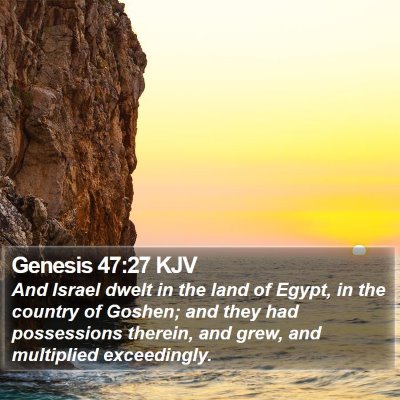 Genesis 47:27 KJV Bible Verse Image