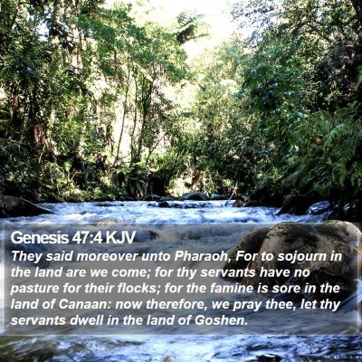 Genesis 47:4 KJV Bible Verse Image