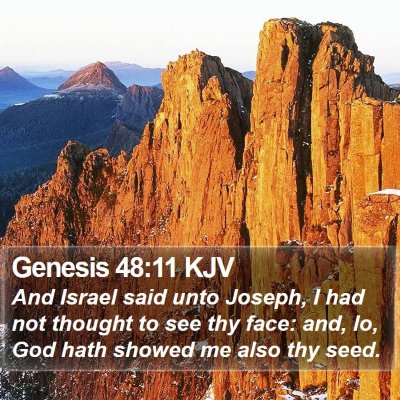 Genesis 48:11 KJV Bible Verse Image