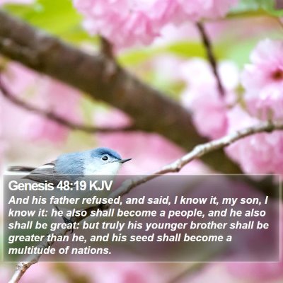 Genesis 48:19 KJV Bible Verse Image