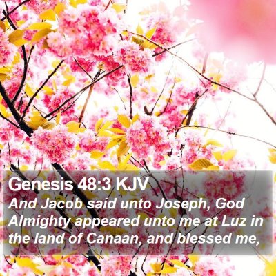 Genesis 48:3 KJV Bible Verse Image
