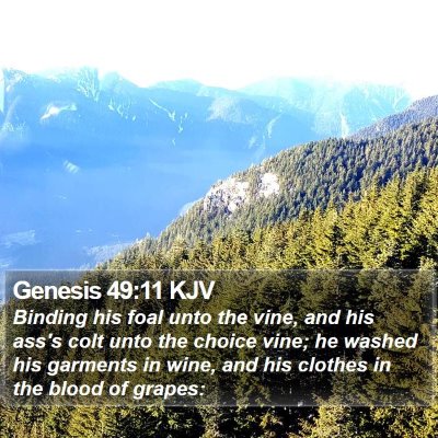 Genesis 49:11 KJV Bible Verse Image