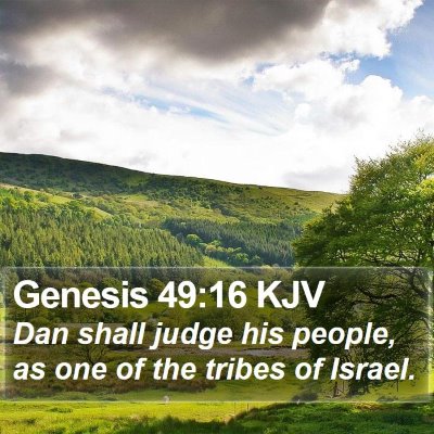 Genesis 49:16 KJV Bible Verse Image