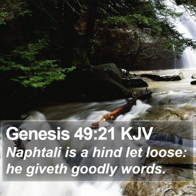 Genesis 49:21 KJV Bible Verse Image