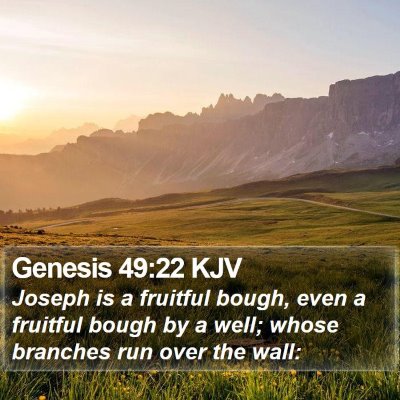 Genesis 49:22 KJV Bible Verse Image